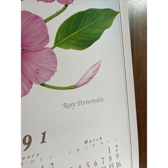 Vintage 1991 Rosy Periwinkle Pharmacy History Pharmacist Poster Afrin Promo - Picture 6 of 12